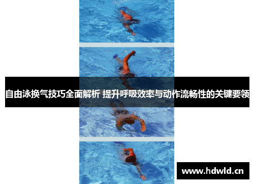 自由泳换气技巧全面解析 提升呼吸效率与动作流畅性的关键要领