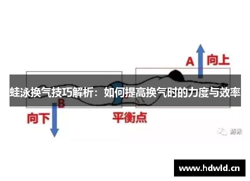 蛙泳换气技巧解析：如何提高换气时的力度与效率
